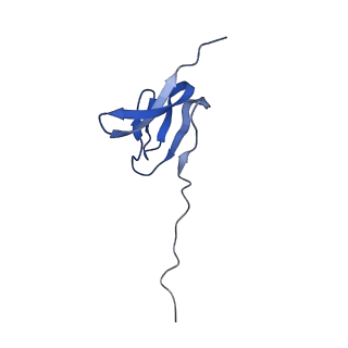 3750_5o60_X_v1-3
Structure of the 50S large ribosomal subunit from Mycobacterium smegmatis