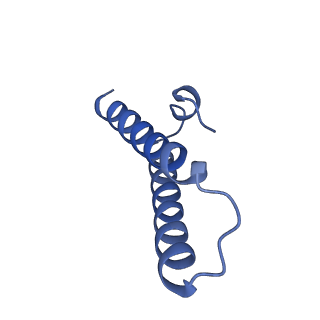 3750_5o60_Z_v1-3
Structure of the 50S large ribosomal subunit from Mycobacterium smegmatis