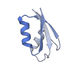 3750_5o60_a_v1-3
Structure of the 50S large ribosomal subunit from Mycobacterium smegmatis