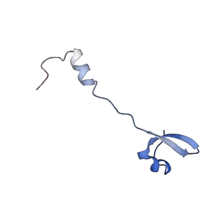 3750_5o60_b_v1-3
Structure of the 50S large ribosomal subunit from Mycobacterium smegmatis
