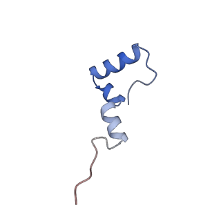 3750_5o60_d_v1-3
Structure of the 50S large ribosomal subunit from Mycobacterium smegmatis