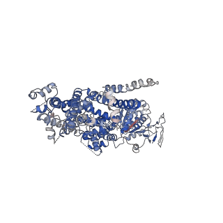0638_6o72_A_v1-2
Structure of the TRPM8 cold receptor by single particle electron cryo-microscopy, TC-I 2014-bound state