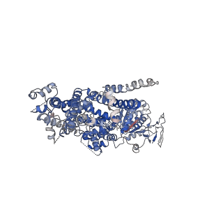 0638_6o72_A_v1-3
Structure of the TRPM8 cold receptor by single particle electron cryo-microscopy, TC-I 2014-bound state