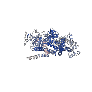 0638_6o72_C_v1-2
Structure of the TRPM8 cold receptor by single particle electron cryo-microscopy, TC-I 2014-bound state