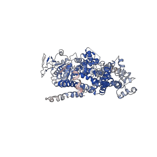 0638_6o72_C_v1-3
Structure of the TRPM8 cold receptor by single particle electron cryo-microscopy, TC-I 2014-bound state