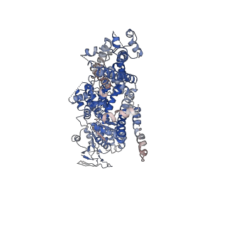 0638_6o72_D_v1-2
Structure of the TRPM8 cold receptor by single particle electron cryo-microscopy, TC-I 2014-bound state