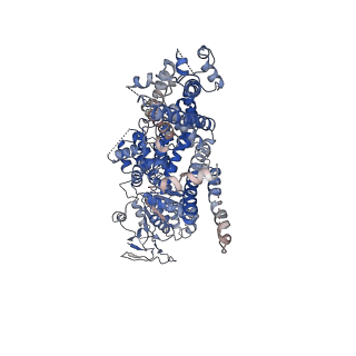 0638_6o72_D_v1-3
Structure of the TRPM8 cold receptor by single particle electron cryo-microscopy, TC-I 2014-bound state