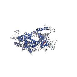 0639_6o77_A_v1-2
Structure of the TRPM8 cold receptor by single particle electron cryo-microscopy, calcium-bound state