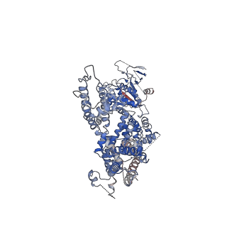 0639_6o77_B_v1-2
Structure of the TRPM8 cold receptor by single particle electron cryo-microscopy, calcium-bound state