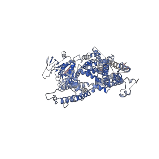 0639_6o77_C_v1-2
Structure of the TRPM8 cold receptor by single particle electron cryo-microscopy, calcium-bound state