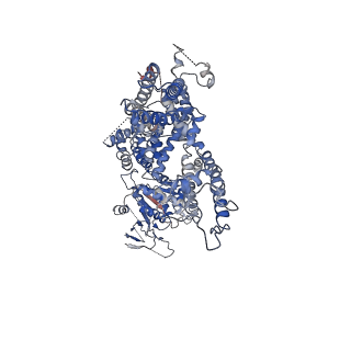 0639_6o77_D_v1-2
Structure of the TRPM8 cold receptor by single particle electron cryo-microscopy, calcium-bound state