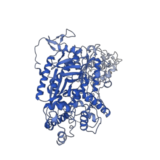 0640_6o7e_A_v1-2
Cryo-EM structure of Csm-crRNA-target RNA ternary complex in complex with AMPPNP in type III-A CRISPR-Cas system