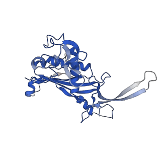 0640_6o7e_C_v1-2
Cryo-EM structure of Csm-crRNA-target RNA ternary complex in complex with AMPPNP in type III-A CRISPR-Cas system