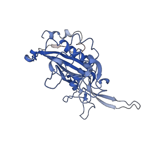 0640_6o7e_D_v1-1
Cryo-EM structure of Csm-crRNA-target RNA ternary complex in complex with AMPPNP in type III-A CRISPR-Cas system