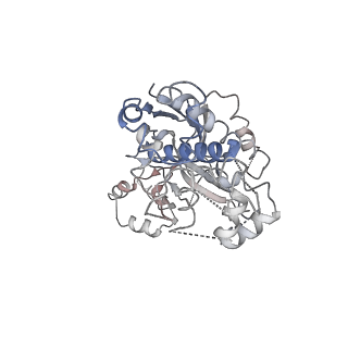 0640_6o7e_Y_v1-1
Cryo-EM structure of Csm-crRNA-target RNA ternary complex in complex with AMPPNP in type III-A CRISPR-Cas system