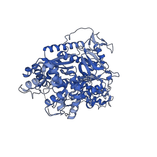0641_6o7h_A_v1-1
Cryo-EM structure of Csm-crRNA-target RNA ternary complex in complex with cA4 in type III-A CRISPR-Cas system
