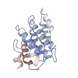 0641_6o7h_B_v1-2
Cryo-EM structure of Csm-crRNA-target RNA ternary complex in complex with cA4 in type III-A CRISPR-Cas system