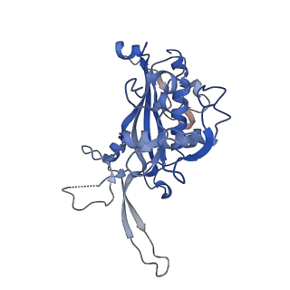 0641_6o7h_D_v1-1
Cryo-EM structure of Csm-crRNA-target RNA ternary complex in complex with cA4 in type III-A CRISPR-Cas system