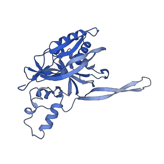 0641_6o7h_E_v1-2
Cryo-EM structure of Csm-crRNA-target RNA ternary complex in complex with cA4 in type III-A CRISPR-Cas system