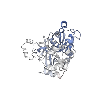 0641_6o7h_F_v1-2
Cryo-EM structure of Csm-crRNA-target RNA ternary complex in complex with cA4 in type III-A CRISPR-Cas system