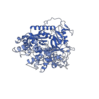 0642_6o7i_A_v1-2
Cryo-EM structure of Csm-crRNA-target RNA ternary bigger complex in complex with cA4 in type III-A CRISPR-Cas system