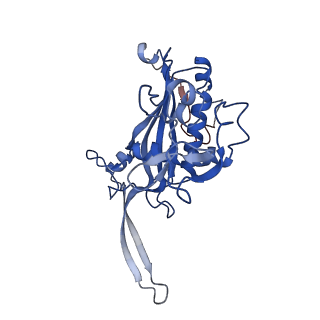 0642_6o7i_D_v1-1
Cryo-EM structure of Csm-crRNA-target RNA ternary bigger complex in complex with cA4 in type III-A CRISPR-Cas system