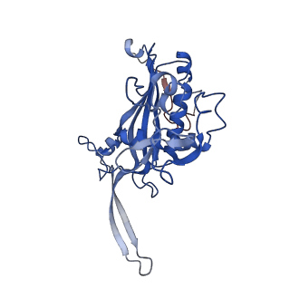 0642_6o7i_D_v1-2
Cryo-EM structure of Csm-crRNA-target RNA ternary bigger complex in complex with cA4 in type III-A CRISPR-Cas system