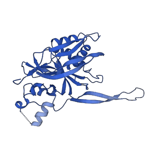 0642_6o7i_E_v1-1
Cryo-EM structure of Csm-crRNA-target RNA ternary bigger complex in complex with cA4 in type III-A CRISPR-Cas system
