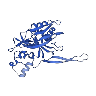 0642_6o7i_E_v1-2
Cryo-EM structure of Csm-crRNA-target RNA ternary bigger complex in complex with cA4 in type III-A CRISPR-Cas system