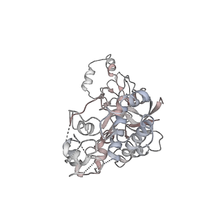 0642_6o7i_F_v1-1
Cryo-EM structure of Csm-crRNA-target RNA ternary bigger complex in complex with cA4 in type III-A CRISPR-Cas system