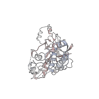 0642_6o7i_F_v1-2
Cryo-EM structure of Csm-crRNA-target RNA ternary bigger complex in complex with cA4 in type III-A CRISPR-Cas system