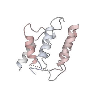 0642_6o7i_J_v1-1
Cryo-EM structure of Csm-crRNA-target RNA ternary bigger complex in complex with cA4 in type III-A CRISPR-Cas system