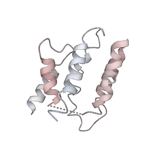 0642_6o7i_J_v1-2
Cryo-EM structure of Csm-crRNA-target RNA ternary bigger complex in complex with cA4 in type III-A CRISPR-Cas system