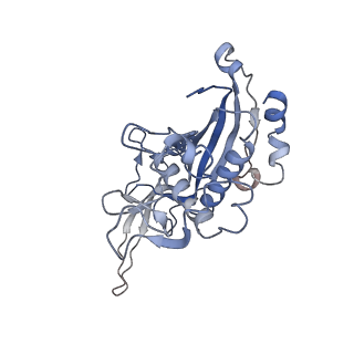 0642_6o7i_K_v1-1
Cryo-EM structure of Csm-crRNA-target RNA ternary bigger complex in complex with cA4 in type III-A CRISPR-Cas system