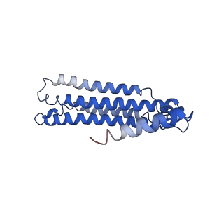 0644_6o7t_c_v1-4
Saccharomyces cerevisiae V-ATPase Vph1-VO