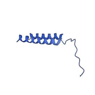 0644_6o7t_e_v1-4
Saccharomyces cerevisiae V-ATPase Vph1-VO