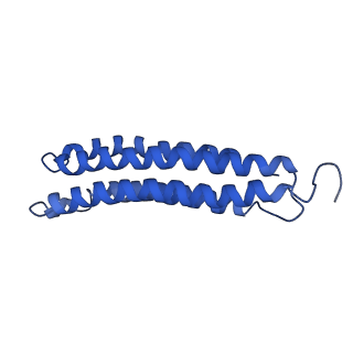 0644_6o7t_g_v1-4
Saccharomyces cerevisiae V-ATPase Vph1-VO