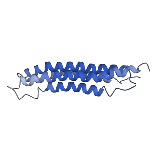 0644_6o7t_h_v1-3
Saccharomyces cerevisiae V-ATPase Vph1-VO