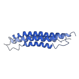 0644_6o7t_h_v1-4
Saccharomyces cerevisiae V-ATPase Vph1-VO