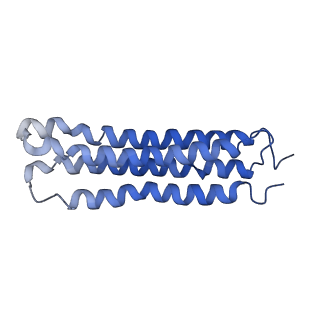 0644_6o7t_k_v1-3
Saccharomyces cerevisiae V-ATPase Vph1-VO
