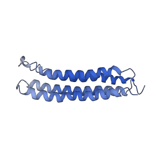 0644_6o7t_l_v1-3
Saccharomyces cerevisiae V-ATPase Vph1-VO