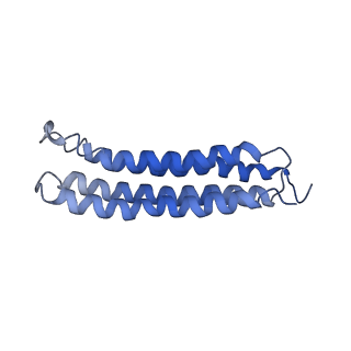 0644_6o7t_l_v1-4
Saccharomyces cerevisiae V-ATPase Vph1-VO