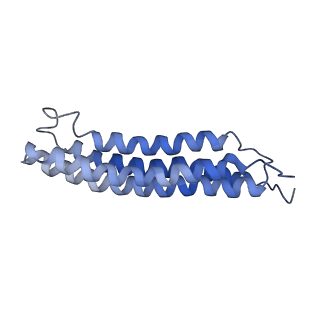 0644_6o7t_m_v1-4
Saccharomyces cerevisiae V-ATPase Vph1-VO