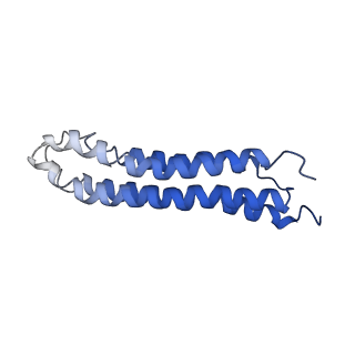 0644_6o7t_n_v1-3
Saccharomyces cerevisiae V-ATPase Vph1-VO