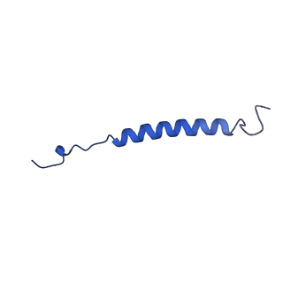 0645_6o7u_b_v1-4
Saccharomyces cerevisiae V-ATPase Stv1-VO