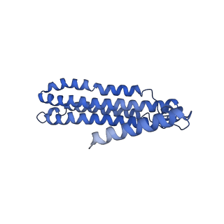 0645_6o7u_c_v1-3
Saccharomyces cerevisiae V-ATPase Stv1-VO
