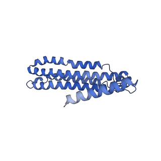 0645_6o7u_c_v1-4
Saccharomyces cerevisiae V-ATPase Stv1-VO