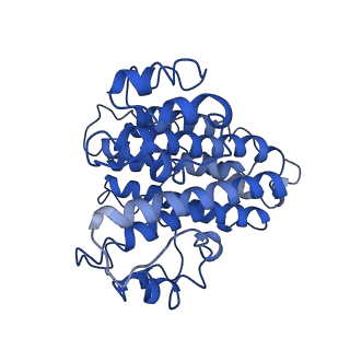 0645_6o7u_d_v1-3
Saccharomyces cerevisiae V-ATPase Stv1-VO