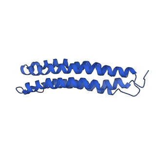 0645_6o7u_g_v1-3
Saccharomyces cerevisiae V-ATPase Stv1-VO