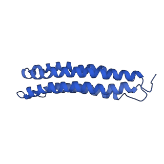 0645_6o7u_g_v1-4
Saccharomyces cerevisiae V-ATPase Stv1-VO